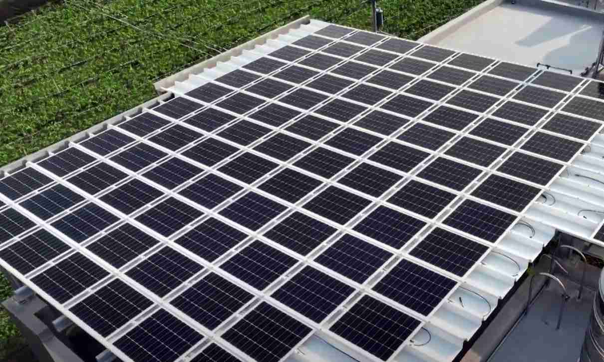 918.COMSunSteel光电浪板升级双玻结构，，，以提升机械负载强度及气候耐候度，，，可广泛运用于多元场域